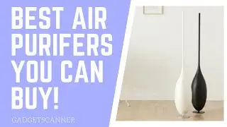 Best Air Purifiers You Can Buy in 2019