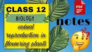 ||CLASS 12|| BIOLOGY ||CH1- SEXUAL REPRODUCTION IN FLOWERING PLANTS | FULL NOTES-PDF| NEET2023
