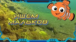 Подводный мир