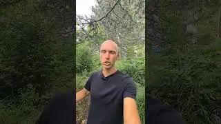 ❗Жизнь ДО БЕЖЕНСТВА в Украине. Жизнь ДО ВОЙНЫ #беженство #беженцы #война #украина #психолог