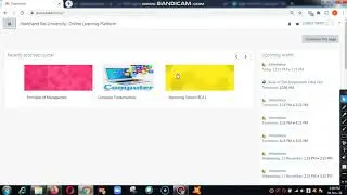 Solutions to Moodle related issues for BCA Sem1