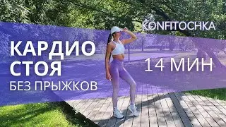 Кардио тренировка стоя без прыжков #кардио #konfitochka #конфиточка