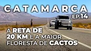 Ep.14: Cactos gigantes na descida dos Andes • Catamarca 4x4