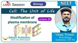 🦠 𝐌𝐨𝐝𝐢𝐟𝐢𝐜𝐚𝐭𝐢𝐨𝐧 𝐨𝐟 𝐏𝐥𝐚𝐬𝐦𝐚 𝐌𝐞𝐦𝐛𝐫𝐚𝐧𝐞 | 𝐂𝐞𝐥𝐥 : 𝐓𝐡𝐞 𝐔𝐧𝐢𝐭 𝐨𝐟 𝐋𝐢𝐟𝐞 || 𝐋𝐞𝐜 𝟎9 || 𝐁𝐢𝐨𝐥𝐨𝐠𝐲 Guj 𝐍𝐄𝐄𝐓 𝐂𝐥𝐚𝐬𝐬 𝟏𝟏