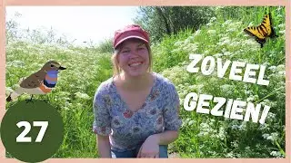 WEERRIBBEN WIEDEN VOL VERRASSINGEN - wandelvlog 27