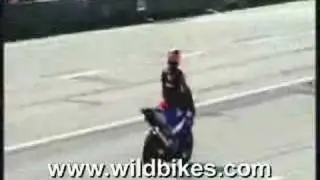 Wild Bikes 3