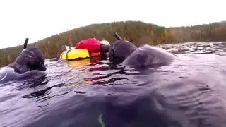 подводная лодка на дне!! ЗАТОНУВШИЙ КОРАБЛЬ