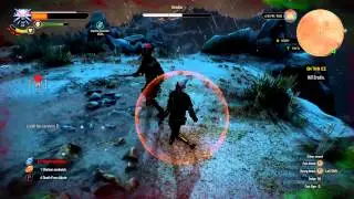 Witcher 3 - Eredin (Final Boss) Fight