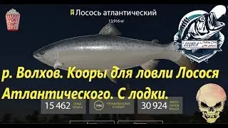 Russian fishing 4. p. Volkhov. Point for fishing - Atlantic salmon.