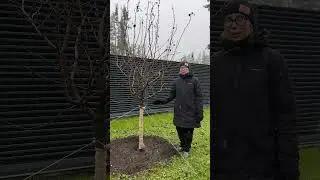 Мероприятия в саду перед зимой❄️