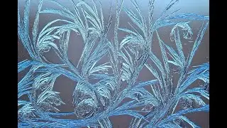 Флористика. Футаж ветки