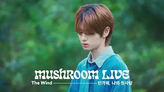 MUSHROOM LIVE SPECIAL 더윈드 The Wind - 반가워, 나의 첫사랑(Acoustic Ver.)