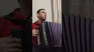 офицеры под гармонь