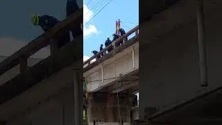 salvando vidas