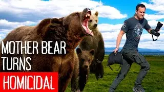 Scary Bear Attacks | The Bloody Mauling of Barrie Gilbert