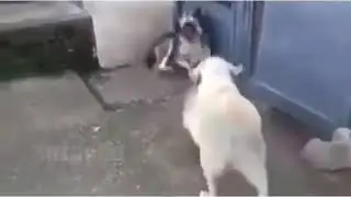 Не ОРИ на детей ❣❣❣❣❣