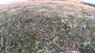 DJI00010