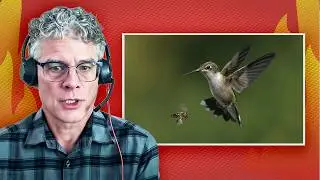 Evolutionary Psychologist Explains The Role of Sex — Error Correction and Variety