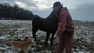 Фрося кобыла испорченная лошадь 🐎