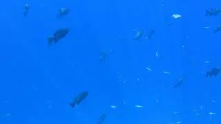 Шарм эль шейх пляж El Fanar