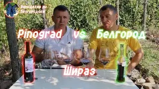 Шираз от "Pinograd Trading" vs Шираз ''Белгород"