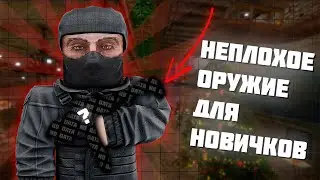 A QUEST FOR A GOOD WEAPON FOR A BEGINNER▶STALCRAFT