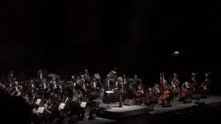 Back to the future Symphony by Damian Mahler