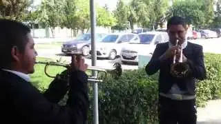 Mi razón de ser