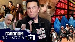 Твикс и Бастрыкин, Маск и евреи, Война за Аляску // Галопом по Европам 