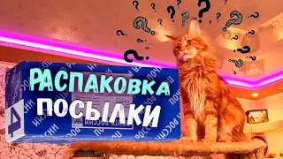 Распаковка посылки, лучший бюджетный 3d принтер.