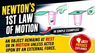 Newton's 1st Law of Motion |Newton's 1st Law of Motion Class 9 | Newton's 1st Law of Motion Examples