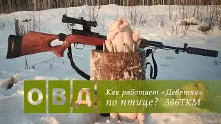 Проверяем работу калибра .366ТКМ по птице