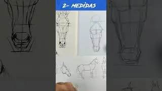 Desenhe qualquer ANIMAL em 1 Minuto!! #shorts #animais