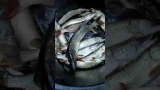 Вася на сеене,ищим диму,нашли