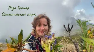 Роза Хутор / Олимпийский парк / Сочи / Красная поляна