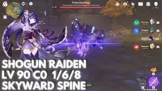 RAIDEN SHOGUN  C0 Skyward Spine VS GEOVISHAP