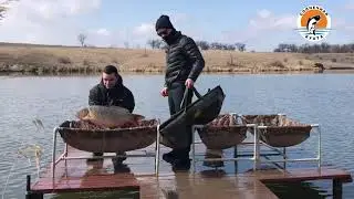 ЗАРЫБЛЕНИЕ - Трофейные карпы | Полный Привод | Карповый Мат