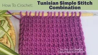 How To Crochet Tunisian Simple Stitch Combination