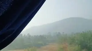 Nature Lover
