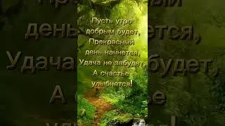 #shorts #доброеутро #хорошегодня