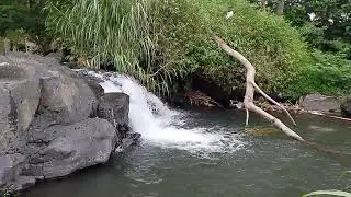 nuansa air kali pegunungan