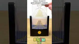 Galton Board (Quincunx) - Gauss Distribution | Galton Kutusu Deneyi - Gauss Dağılımı