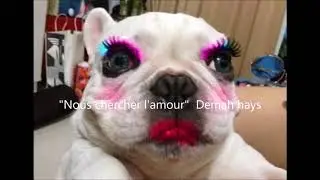 Nous Chercher l'Amour  !!  (Demah.s)