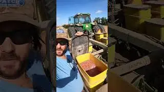 Planting Peanuts 