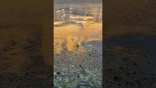 Цвет этой песни #newmusic #music #альбертибрагимов #travel #главнаяроль