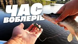 Літо час воблерів