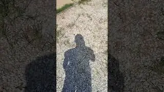 Дорожки и отмостки из сыпучих материалов ТРЕБУЮТ ухода!