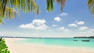 beach waves sound effect 3 mins