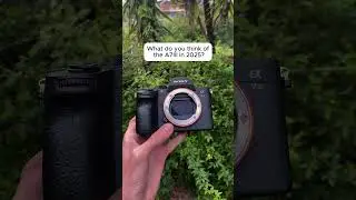 sony a7iii in 2025?