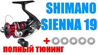 Shimano SIENNA 19 FG - TUNING